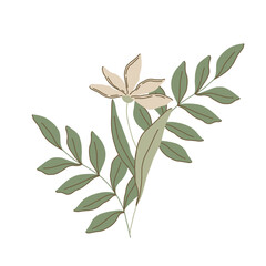 Elegant flat style vector botanical illustration with delicate flowers, leaves, and branches in muted shades of green, beige, and white. Perfect for spring projects, nature decor, minimalistic designs