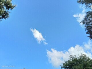 When the time comes for beautiful things to say goodbye