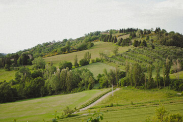 Italian landscape with trees.
