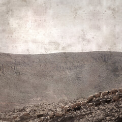 textured stylish old paper background, square, with landscape of Gran Canaria with goats and sheep
