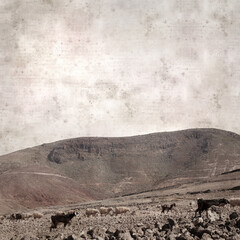 textured stylish old paper background, square, with landscape of Gran Canaria with goats and sheep
