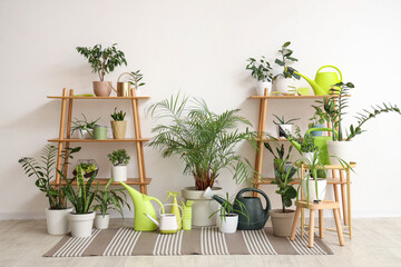 Interior of light room with shelf units, green plants and gardening tools