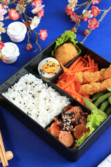 Japanese School Colorful Lunchbox for Kids