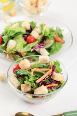 Close Up Fresh Vegetable Salad with Crouton