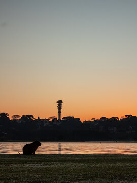 parque barigui curitiba parana