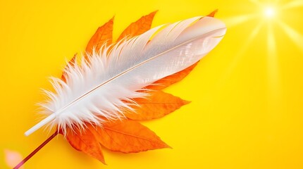 white feather and orange maple leaf National Day for Truth and Reconciliation in Canada