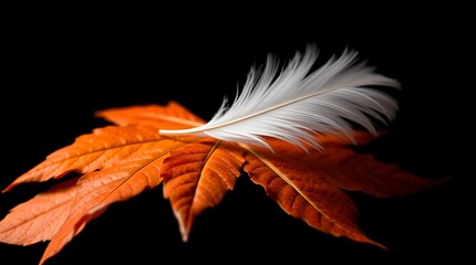white feather and orange maple leaf National Day for Truth and Reconciliation in Canada
