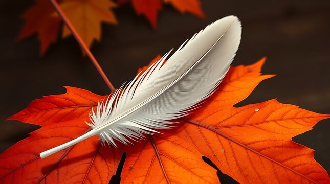 white feather and orange maple leaf National Day for Truth and Reconciliation in Canada
