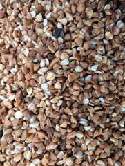 Raw buckwheat texture. Background of buckwheat groats