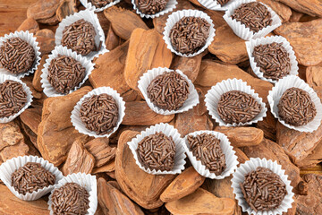Brazilian chocolate truffle on small tree bark. Traditional Brazilian sweet_11.