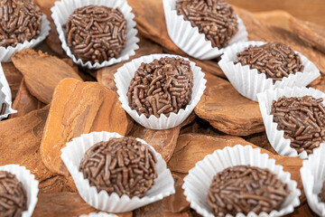 Brazilian chocolate truffle on small tree bark. Traditional Brazilian sweet_15.