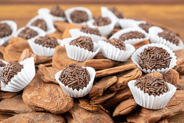 Brazilian chocolate truffle on small tree bark. Traditional Brazilian sweet_17.
