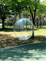 숲 속의 비눗방울 Soap Bubble in the Forest