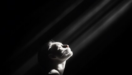 Obraz premium A serene figure gazes upward, illuminated by soft beams of light.