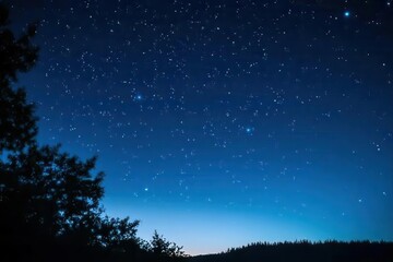 A serene night sky filled with stars above a dark horizon and silhouetted trees.