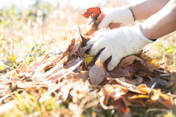 庭で落ち葉を集める

