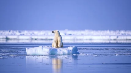 Fototapete Eisbär Polar bear on ice floe arctic ocean wildlife photography winter wonderland close-up conservation awareness  © nikomsolftwaer