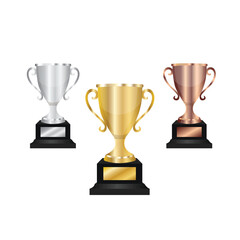 Gold trophy, silver trophy, platinum trophy, with the nameplate of the winner