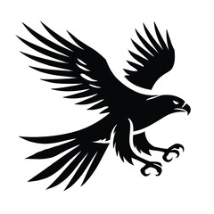 Obraz premium Hawk Soaring,