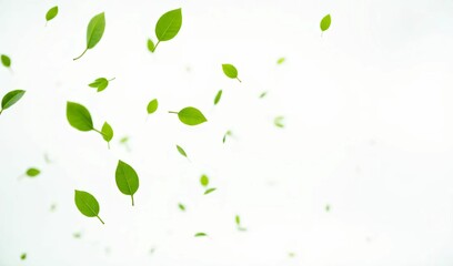 Green Leaves Falling: A mesmerizing cascade of vibrant green leaves falling gracefully against a clean, airy background. Evoking a sense of renewal, growth, and tranquility.  