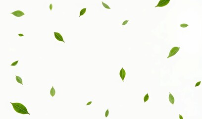 Falling Leaves: A delicate scattering of green leaves gracefully descends against a pristine backdrop, evoking a sense of tranquility and renewal.  