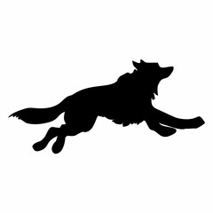 A BLACK WOLF SILOUTE RUNS AND ROARS