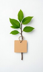 Fresh green branch with lush leaves and blank tag on a light background for eco-friendly concepts