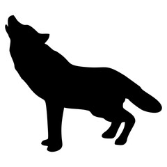 A BLACK WOLF SILOUTE RUNS AND ROARS