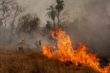Queimadas Terra Ind&iacute;gena Kadiweu - Pantanal
Wetlands fire