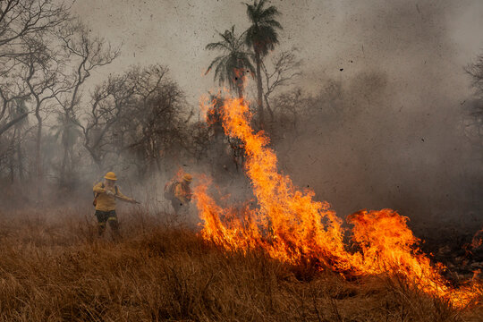 Queimadas Terra Ind&iacute;gena Kadiweu - Pantanal
Wetlands fire