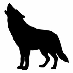A BLACK WOLF SILOUTE RUNS AND ROARS