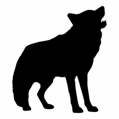 A BLACK WOLF SILOUTE RUNS AND ROARS