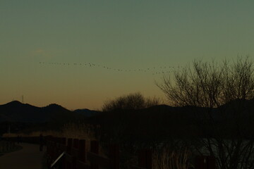 12월 31일, 노을, 습지, 대한민국, 고혹, 나무, 겨울, 시작, 끝, 만남, 산책, 석양, sky, 태양, 네이처, 구름, 경관, 일출, 저녁, orange, 구름, 나무, 나무, 오늘밤, blue, 나이트, 모닝, beautiful, red, 해넘이, 라이트, 여름, yellow, 새벽, 실루엣, 미