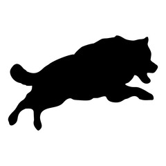 A BLACK WOLF SILOUTE RUNS AND ROARS