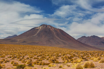Northern Chile