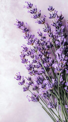 Obraz premium Lavender flowers on soft pastel background create calming scene