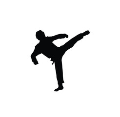 Silhouette of a male model performing a martial arts kicking pose.