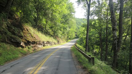 Obraz premium Scenic winding road with guardrails surrounded by lush green trees and rocky formations in a tranquil natural setting