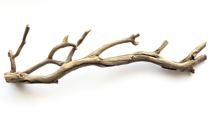 Fototapeta premium Dry tree branch on a white background showcasing natural wood texture and form for use in eco-friendly design and nature themes.