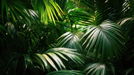 Lush tropical palm leaves texture background highlighting vibrant greenery in a natural garden setting creating a serene organic atmosphere