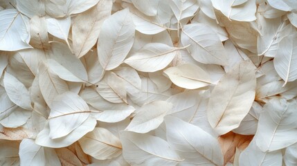 White and dry leaves background texture for design and artistic projects