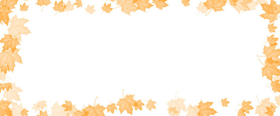 maple leaf illustration for frame without background