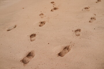 Close-up Texture of Sandy Surface