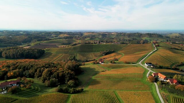Stunning aerial 4K drone footage of an wine region of Jeruzalem, Slovenia. Filmed on a crisp, sunny late autumn day, this video shows beautiful Slovenian countryside surrounded by vineyards.