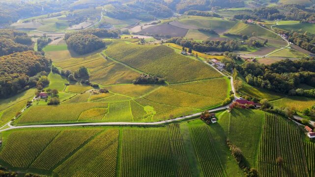 Stunning aerial 4K drone footage of an wine region of Kog, Slovenia. Filmed on a crisp, sunny late autumn day, this video shows beautiful Slovenian countryside surrounded by vineyards.