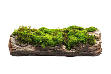 Moss-covered log with lush green texture on a white background, ideal for nature-themed projects.