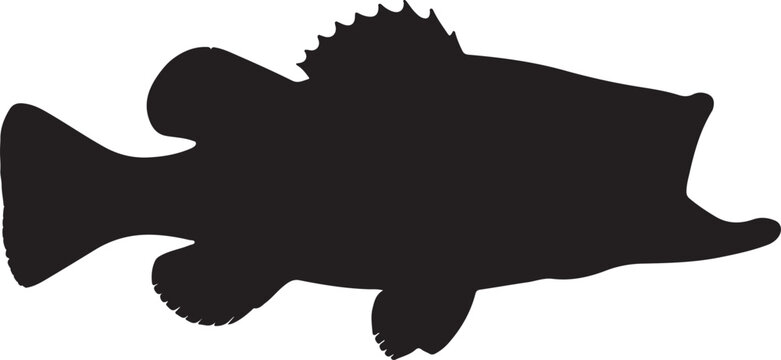 Bass fish silhouette logo, icon design vector illustration.