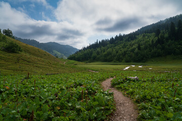 The valley of the Malaya Dukka River surrounded by the mountains of the North Caucasus and the tourist trail to the Dukka Lakes on a sunny summer day, Arkhyz, Karachay-Cherkessia, Russia © Ula Ulachka