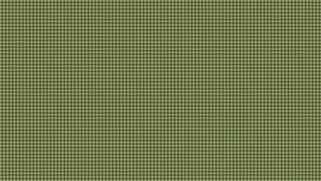 Digital Screen Texture Overlay