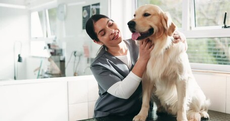 Woman, dog and checkup for veterinary, help and consultation with pet health or clinic assessment. Animal shelter, healthcare and medical person with golden retriever, diagnosis exam or inspection